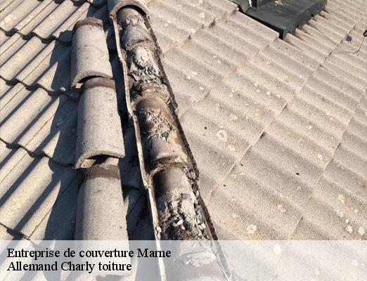 Entreprise de couverture 51 Marne Allemand Charly toiture